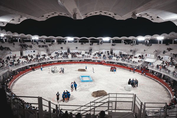 How does playing in different positions affect a player's development in basketball?